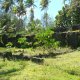 44- Un marae sur le motu Ovarei 